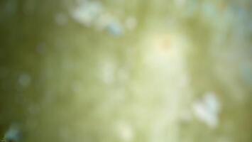 Abstract green bokeh background photo