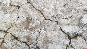 Cracked concrete texture photo