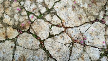 Cracked stone pavement texture photo