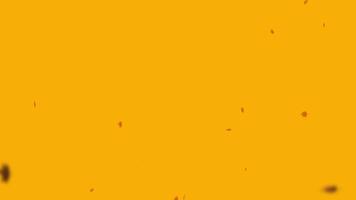Falling autumn leaves background, abstract background 02 video