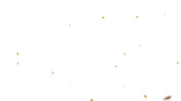 Falling autumn leaves background, abstract background video