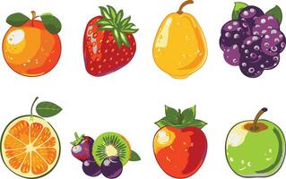 A set of fruit images vector