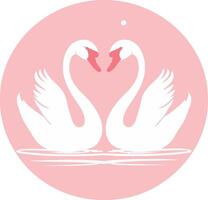 Two swans are making a heart shape in the water vector