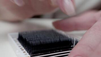 pestaña extensión procedimiento. de cerca de un Maestro a trabajo artificial pestaña extensiones material. manos de el Maestro demostrar grueso pestañas video