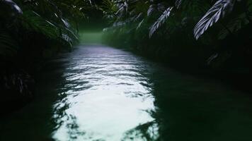 Tropical background, Flight uder the jungle green water. 3d render. Seamless loop. video