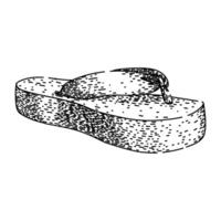 beach flip flops sketch hand drawn vector