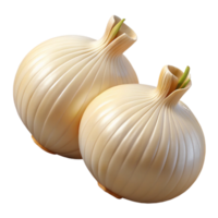 3D Render Two Onions png