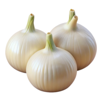 Realistic Image of Three White Onions png
