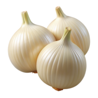 3D Render of Three White Onions png