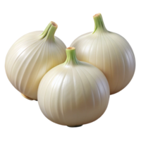 Realistic Image Three White Onions png