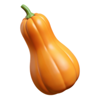 3D Render Butternut Squash Illustration png
