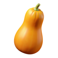 Butternut Squash 3D Render png
