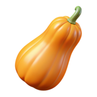 3D Render of an Orange Butternut Squash png