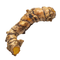 Fresh Turmeric Root Isolated on White Background for Culinary and Health Uses on Transparent Background png