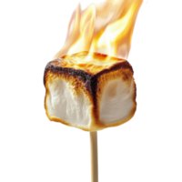 Marshmallow Roasting on a Stick for Campfire Gatherings on Transparent Background png