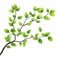Tree Branch with Green Leaves Ideal for Nature-themed Projects on Transparent Background png