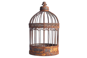 Rustic vintage birdcage sitting on display highlighting intricate metalwork and weathered texture png