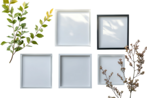 Display of empty frames arranged with branches on a white background for creative decoration png
