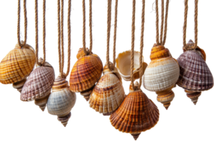 Decorative sea shells hanging on twine for a coastal-themed display in a bright setting png