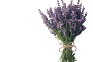 Lavender bouquet tied with twine showcases vibrant colors and fresh appeal in a simple, elegant arrangement png