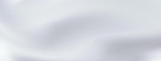 Abstract White Gray Gradient Background, Smooth Texture, Soft, Blurry, Subtle, Minimalist, Elegant, vector