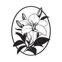 Lily flower image . Lily flower with circular design image isolated on white background. vector