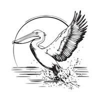 Pelican Splashing Water Image. Pelican flying over the water surface image isolated on white background. vector