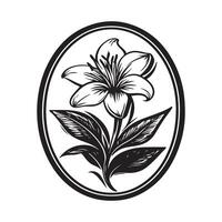 Black and white Lily flower image . Lily flower with circular design image isolated on white background. vector