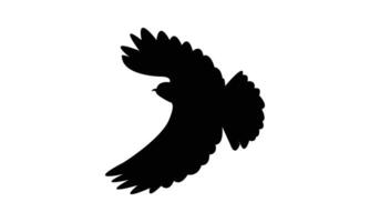 Black Flying Wheatear Bird Silhouette Design And Illustration. vector