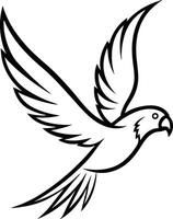 A Flying Parrot Sketch vector