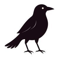crow on a white background logo raven templet vector