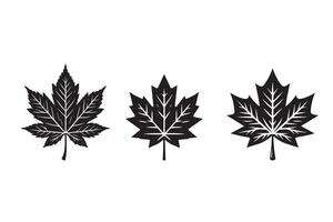 Maple Leaf Silhouette Illustration artwork design symbol vector