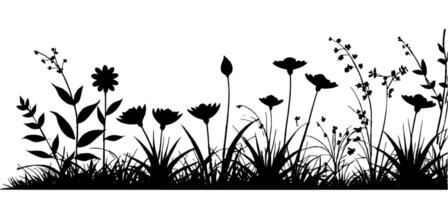 Silhouette of flowers and grass on a white background vector