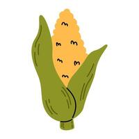Hand drawn corn in doodle style. Fresh diet vegetable. Simple style maize vector