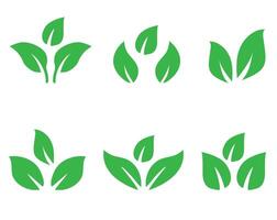 Green Leaf Icons - Symbols Isolated on White Background vector
