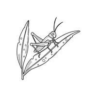 Doodle illustration of a grasshopper perched on a garden leaf with dew drops vector