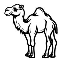 a camel is standing in a line on a white background vector