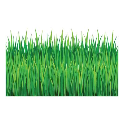 green grass background illustration