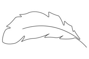 Clean and modern bird feather outline drawing in continuous line style vector
