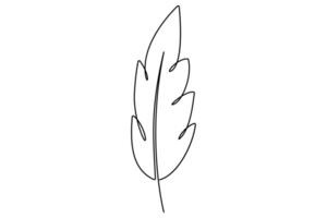Professional minimalist bird feather outline for innovative graphic design vector
