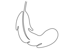 Elegant bird feather outline drawing in continuous one line for clean artwork vector