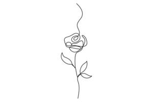 Continuous one line sketch of a rose flower for stylish floral illustrations vector