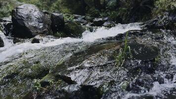 Fresh water flows over rocks in a mountain stream video