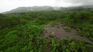 An aerial view of a forest and mountains video