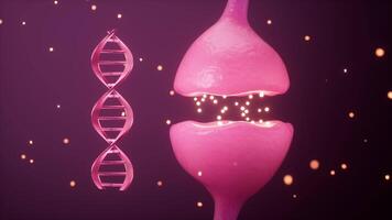 Electrical synapses and DNA, human genes and nervous system concepts, 3d rendering. video
