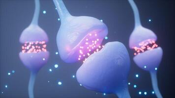 Neurons and synapses, nervous system concept, 3d rendering. video