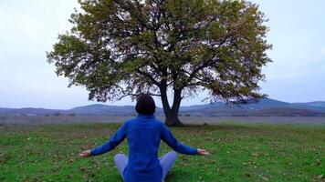 Back view of unrecognizable slender young woman in lotus position video