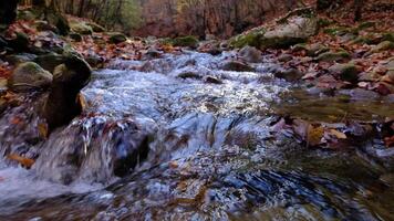 View of the river flowing from the mountain waterfall. video