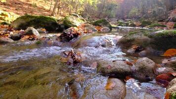 View of the river flowing from the mountain waterfall. video