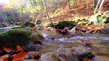 View of the river flowing from the mountain waterfall. video